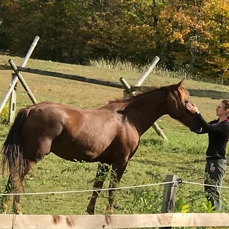 D & K Ranch Martha East Interlaken Экстерьер фото