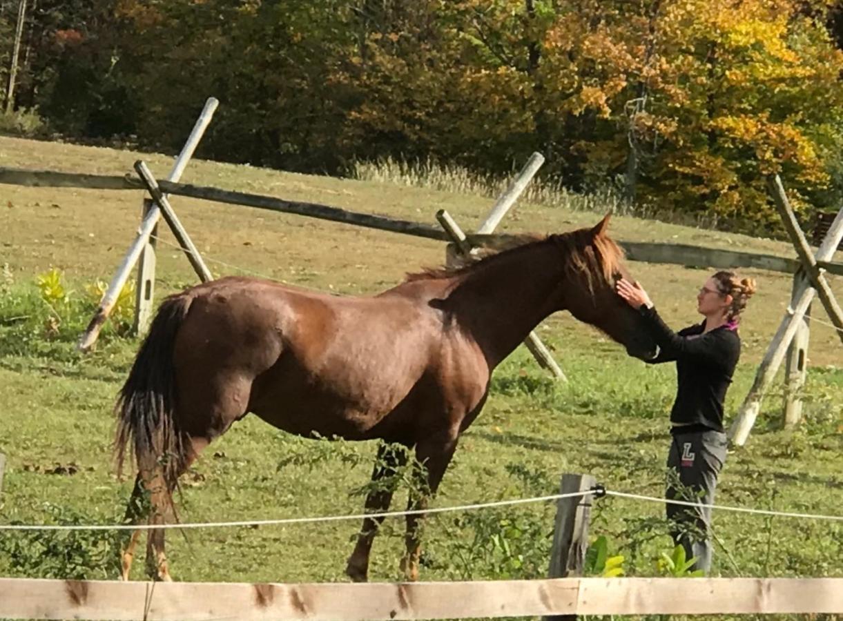 D & K Ranch Martha East Interlaken Экстерьер фото